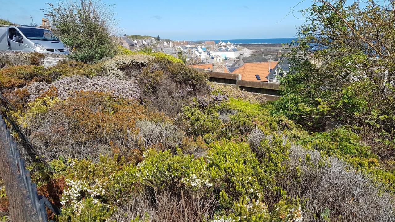 Myrtle Cottage Johnshaven Exteriér fotografie